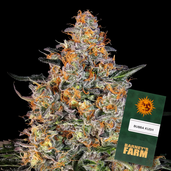 Barney´s Farm - Bubba Kush