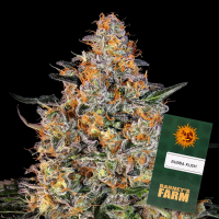 Barney´s Farm - Bubba Kush