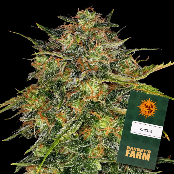 Barneys´s Farm - Cheese