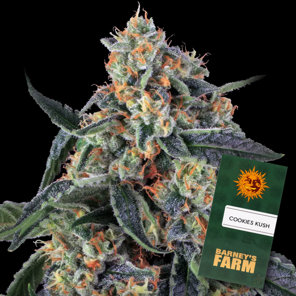 Barney´s Farm - Cookies Kush