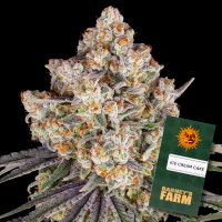 Barney´s Farm - Ice Cream Cake