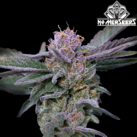 No-MerSeeds - Sour Frutas