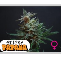 No-MerSeeds - Sticky Papaya