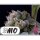 No-MerSeeds - PMO
