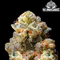 No-MerSeeds - Strawlada
