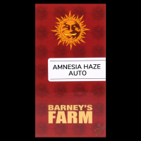 Barney´s Farm - Amnesia Haze Auto