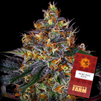 Barney´s Farm - Moby Dick Auto