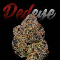 RedEyes - Tangie 1 Samen