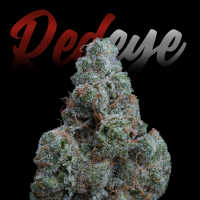 RedEyes - Blue Dream 1 Samen
