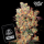 J.D. Genetics -  Zanana - 10 Seeds