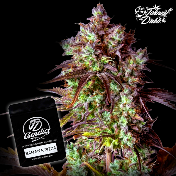 J.D. Genetics - Banana Pizza