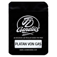 J.D. Genetics - Platan von Gas - 10 Seeds