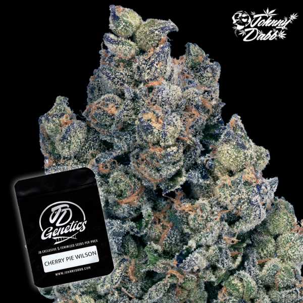 J.D. Genetics - Cherry Pie Wilson -  10 Seeds