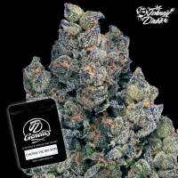 J.D. Genetics - Cherry Pie Wilson -  10 Seeds
