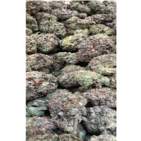 J.D. Genetics - Cherry Pie Wilson -  10 Seeds