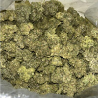 J.D. Genetics - Tropical Pound Cake - 10 Seeds