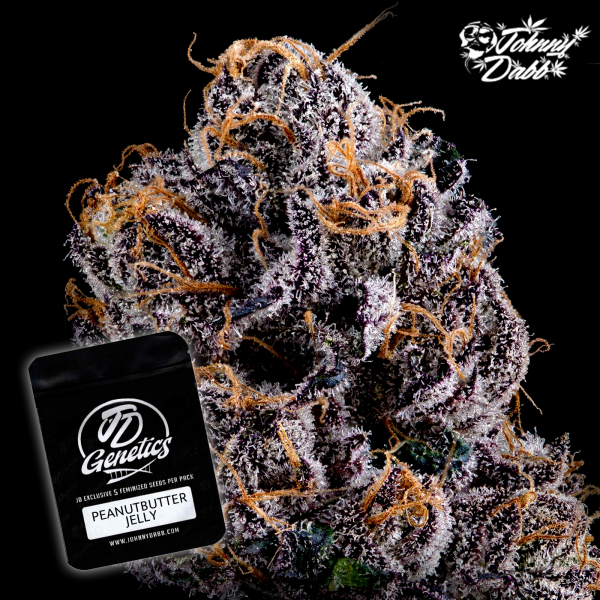 J.D. Genetics - Peanut Butter Jelly - 10 Seeds