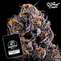 J.D. Genetics - Peanut Butter Jelly - 10 Seeds