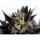 Kannabia Seed Company - Lemon Haze Auto -  3 Seeds