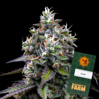 Barneys Farm - Zoap