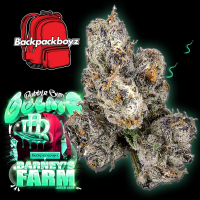 Barneys Farm x Backpackboyz - Bubblegum Gelato