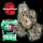 Barneys Farm x Backpackboyz - Bubblegum Gelato
