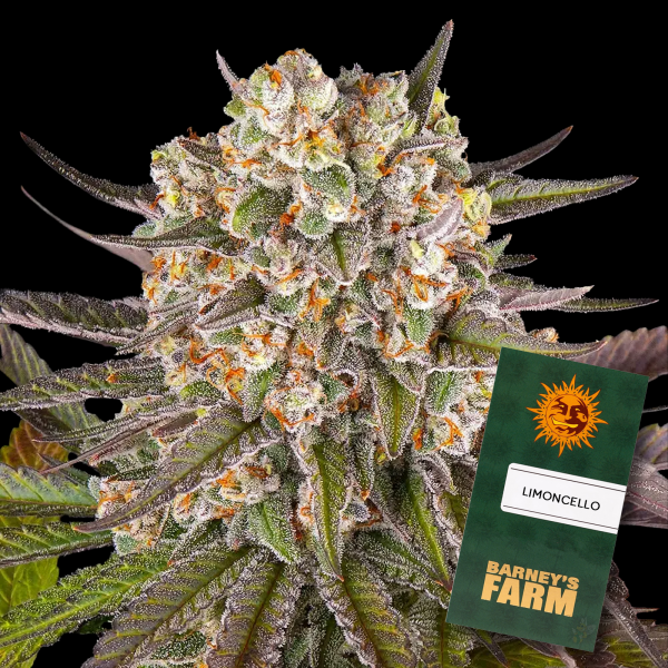 Barney´s Farm - Limoncello