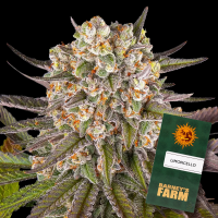 Barney´s Farm - Limoncello