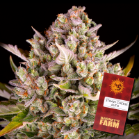 Barney´s Farm - Strawberry Cheesecake Auto