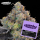 Grounded Genetics - BLUEBERRY ZKUNK (Zkunk x Blucci) - 7 Seeds