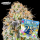 Grounded Genetics - ZKUNK (Exodus Cheese x Zunami) - 7 Seeds