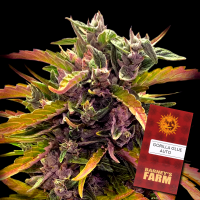 Barneys´s Farm - Gorilla Glue Auto
