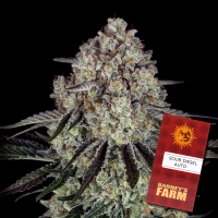 Barneys´s Farm - Sour Diesel Auto
