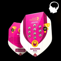 Royal Queen Seeds - Amnesia Haze