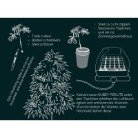 Hubey Bio Rooting Gel - Bewurzelungsmittel für Stecklinge