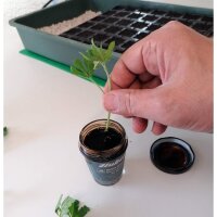 Hubey Bio Rooting Gel - Bewurzelungsmittel für...