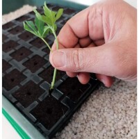 Hubey Bio Rooting Gel - Bewurzelungsmittel für Stecklinge