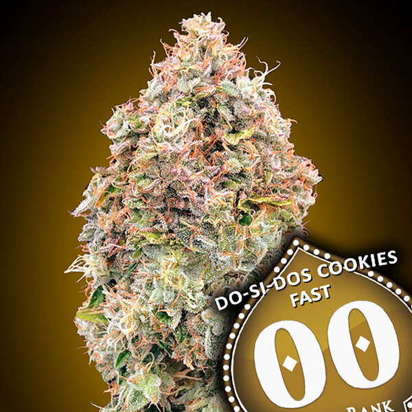 00 Seeds Do-Si-Dos Cookies Fast