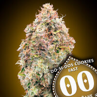 00 Seeds Do-Si-Dos Cookies Fast