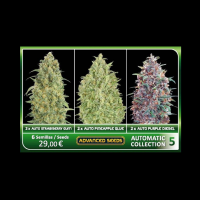 Advanced Seeds - Automatic Collection #5