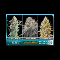 Advanced Seeds - Automatic Collection #6