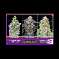 Advanced Seeds - Feminized Collection #7