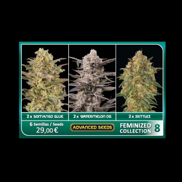 Advanced Seeds - Feminized Collection #8