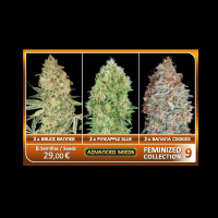 Advanced Seeds - Feminized Collection #9