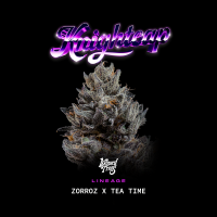 Wizard Trees - Knightcap (Zorroz × Tea Time)