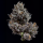 Wizard Trees - Knightcap (Zorroz × Tea Time)