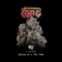 Wizard Trees - Top G (Gelato 41 × Tea Time)