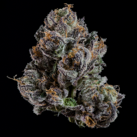 Wizard Trees - OG Hour ((SFV OG × Runtz) × Tea Time)