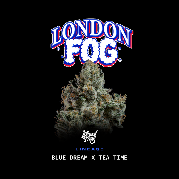 Wizard Trees - London Fog (Blue Dream × Tea Time)