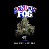 Wizard Trees - London Fog (Blue Dream × Tea Time)